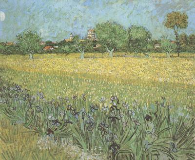 Vincent Van Gogh View of Arles with Irises in the Foreground (nn04) Norge oil painting art